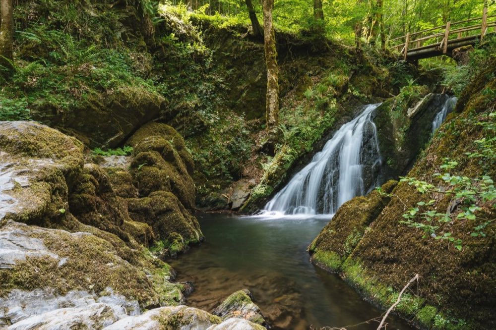 Eifelohr in Mayen