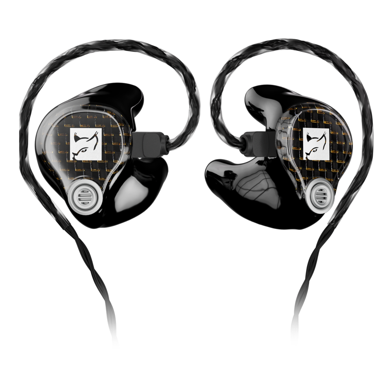 In-Ear Monitoring